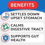 Pet Pumpkin Powder Supplier - Pumpkin Dogs Powdered Fiber Supplement Stool Softener Diarrhea