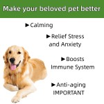 Pet Hem Oil Supplier - OEM Private Label Organic Hem Oil 100% Pure Full Spectrum Pain Relief