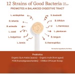 Pet Probiotic Powder Supplier - Wholesale Private Label Probiotics Powder for Dogs Cats Gut Immune