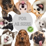 Pet Mushroom Chews Factory - OEM ODM Mushroom Soft Chews Enhance Immune Functions Virus Fight