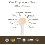 Pet Mushroom Powder Manufacturer - Private Label 150g Mushroom Powder Blend Immunity Organic
