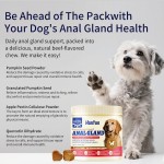 Pet Joint Treats Factory - Joint Soft Treats Chondroitin MSM Hip Joint Supplement Glucosamine Pain