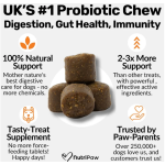 Pet Probiotic Chews Manufacturer - OEM Pre Probiotics Soft Chews Digestive Health Itchy Relief