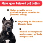 Pet Muscle Supplement Supplier - Professional Custom Brand Dog Muscle Soft Chews Immune System