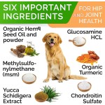 Pet Functional Supplement Manufacturer - Private Label Hip Joint Soft Chew Relief Pain Mobility