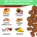 Pet Allergy Chews Manufacturer - Organic Allergy Soft Chews Customizable Brand Meat Pain Relief