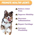 Pet Health Supplement Manufacturer - Hip Joint Supplements for Dogs with Natural Ingredients