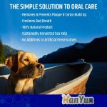 Pet Dental Powder Factory - Dental Powder for Dogs Cats Clean Teeth Healthy Gums Fresh Breath