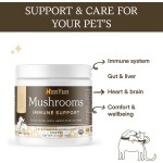 Pet Mushroom Powder Manufacturer - Private Label 150g Mushroom Powder Blend Immunity Organic