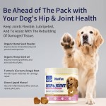 Pet Health Supplement Factory - Professional Custom Brand Health Care Supplements for Dogs Cats