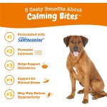 Pet Calming Supplement Manufacturer - OEM Calming Chew for Dogs Anxiety Stress Relief Sleep Aid