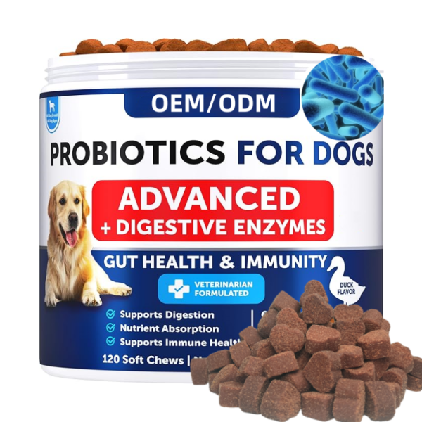 Pet Probiotic Chews Manufacturer - OEM Wholesale Probiotics Soft Chews Digestive Health Support