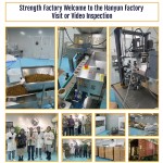 Pet Mushroom Powder Manufacturer - Private Label 150g Mushroom Powder Blend Immunity Organic