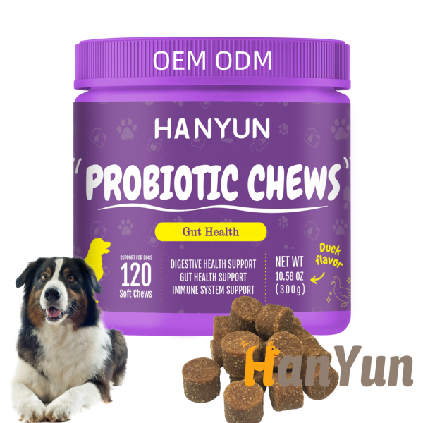 Pet Digestive Supplement Supplier - OEM Free Samples Digestive Probiotic Soft Chews Immune Support