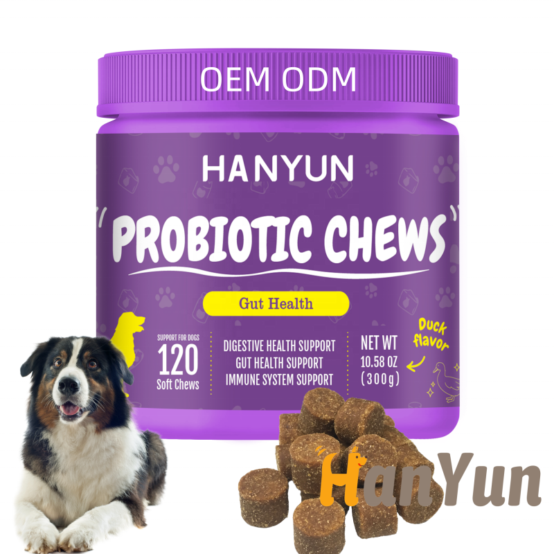 Pet Digestive Supplement Supplier - OEM Free Samples Digestive Probiotic Soft Chews Immune Support