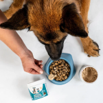 Pet Oral Health Supplier - Refreshes Breath Dental Powder Oral Health Clean Teeth Healthy Gums