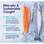 Salmon Oil Supplement Manufacturer - Factory Price OEM ODM Pure Wild Alaskan Salmon Oil for Dogs