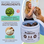 Pet Probiotic Chews Manufacturer - Hanyun Probiotics 90 Chews Digestive Enzymes Gut Health Immune
