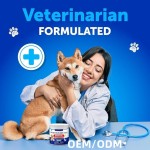 Pet Probiotic Chews Manufacturer - OEM Wholesale Probiotics Soft Chews Digestive Health Support