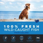 Pet Salmon Oil Factory - Wild Alaskan Salmon Fish Liquid Supplement Joint Heart Immune Skin