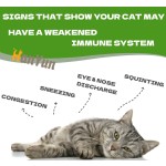 Pet Immune Gel Factory - Pet Immune Support Gel Nutritional Paste Relief Nose Sneezing Congestion