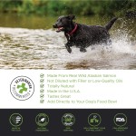 Pet Fish Oil Manufacturer - Wild Alaskan Salmon Oil for Dogs Cats Liquid Pump Food Supplements