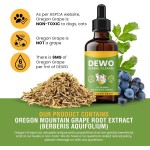 Pet Liquid Herbal Manufacturer - OEM Pets Liquid Herbal Supplement Intestinal Defense Cleans Toxins