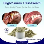 Pet Dental Powder Factory - Dental Powder for Dogs Teeth Cleaning Dental Care Plaque Remover