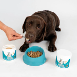 Pet Oral Health Supplier - Refreshes Breath Dental Powder Oral Health Clean Teeth Healthy Gums