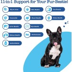 Pet Joint Chews Supplier - Hanyun Glucosamine Hip Joint Supplement 120ct Soft Chews Chondroitin MSM