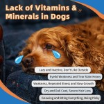 Pet Multivitamin Powder Manufacturer - Free Sample 15 in 1 Multivitamin Powder for Dogs Cats