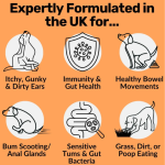 Pet Probiotic Chews Manufacturer - OEM Pre Probiotics Soft Chews Digestive Health Itchy Relief