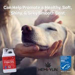 Pet Fish Oil Factory - Salmon Oil Fish Oil Omega 3 Liquid Food Supplement Skin Coat Joints