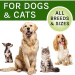 Pet Cough Treatment Supplier - HANYUN Kennel Cough Treatment Allergy Immunity Respiratory Health