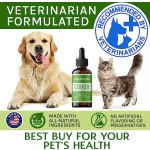 Pet Cough Supplement Factory - Hanyun Cough Immune Liquid Food Dropper Relieves Cough Wheezing