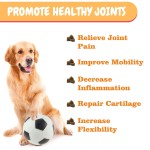 Pet Nutrition Supplement Factory - Private Label Natural Organic Chondroitin Hip Joint Soft Chews