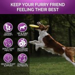 Pet Multivitamin Supplier - OEM Private Label 15 in 1 Dog Multivitamin Soft Chew Glucosamine