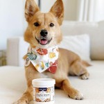 Pet Ear Cleaner Factory - OEM ODM Custom Dog Ear Cleaner Wipes Soft Cotton Pads Coconut Oil Aloe