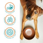 Pet Probiotic Powder Factory - Wholesale Private Label 200g Probiotic Powder Digestive Health Beef