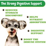 Pet Probiotic Supplier - With Natural Supplements Probiotic Soft Chews Health Supplements Treats