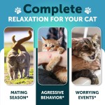 Pet Calming Chews Manufacturer - Calming Chews for Cats Reduce Stress Anxiety Relief Behavioral