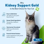Pet Kidney Supplement Manufacturer - Private Label Organic Kidney Liquid Drop Support Kidney Bladder