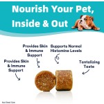 Pet Allergy Chews Manufacturer - Organic Allergy Soft Chews Customizable Brand Meat Pain Relief