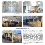 Pet Calming Chews Factory - Hanyun Pure OEM ODM Anxiety Relief Soft Chews Custom Flavor Dog Supplement