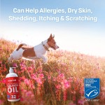 Pet Fish Oil Manufacturer - Fish Oil Wild Alaskan Salmon Oil EPA DHA Liquid Skin Coat Joints