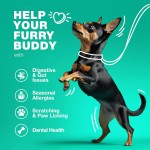 Pet Probiotic Chews Factory - OEM Factory Natural Probiotics Soft Chews Digestive Gut Health