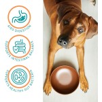 Pet Probiotic Powder Manufacturer - Factory Pet Probiotic Nutritional Powder Prebiotics Probiotics