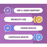 Pet Joint Supplement Factory - Factory Price Joint Chewable Tablets with Glucosamine Chondroitin