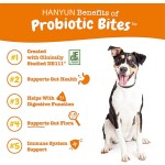 Pet Probiotic Supplier - Hanyun Custom Private Label Probiotic Chew Supplements Pet Health Care