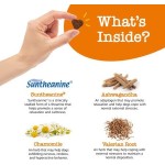 Pet Calming Supplement Manufacturer - OEM Calming Chew for Dogs Anxiety Stress Relief Sleep Aid